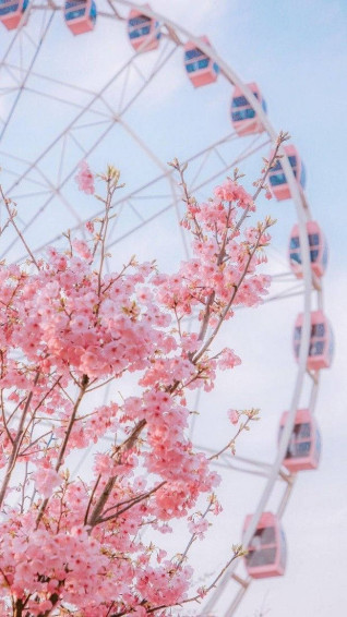Aesthetic Spring Wallpaper S