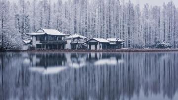 Wallpaper West Lake Hangzhou Trees Buildings Snow Winter