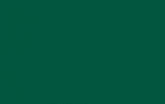 Sacramento State Green Solid Color Background