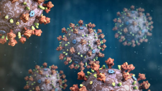 Close Shot Of The Coronavirus Wallpaper