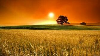 Beautiful Sunrise HD Wallpaper From Field