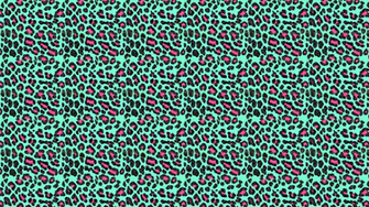 Animal Print Desktop Wallpaper