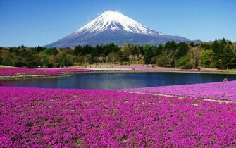 Mount Fuji Japan High Quality And Resolution Wallpaper