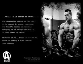 Animal Pak Quotes Forum Animalpak Showthread Php