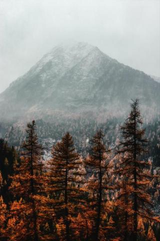 Amazing Fall Wallpaper For iPhone