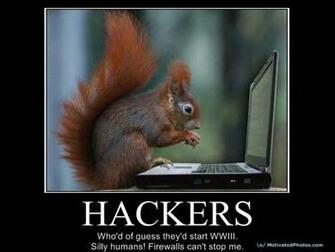 Squirrel Hacker The Wallpaper Full HD