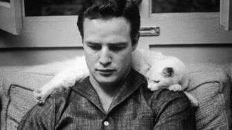 Fonds D Cran Marlon Brando Tous Les Wallpaper