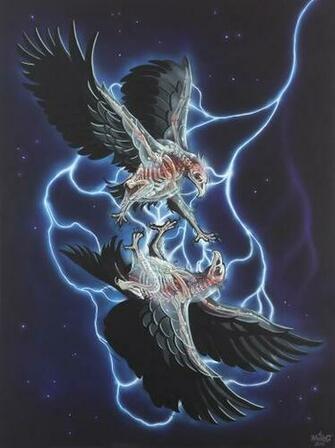 Nychos Translucent Fear At Kolly Gallery Z Rich