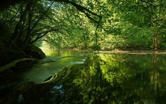 Unique Wallpaper Most Exotic River HD Part