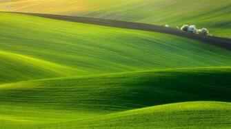 Land Green Computer Wallpaper HD