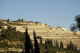 Visions Of Israel Photo Gallery