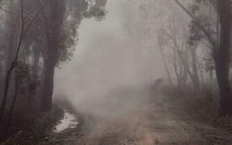 Agalloch Wallpaper