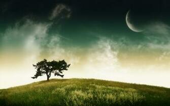 Tree Wallpaper HD