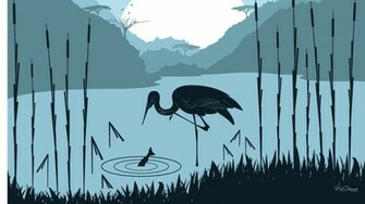 Pond Heron Wallpaper