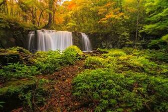 Late Summer S Fall Wallpaper