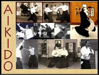 Aikido Wallpaper For Your Desktop By Rodrigo