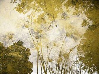 Description Desktop Wallpaper With Water Reflection Jpg