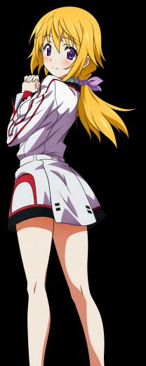 Infinite Stratos Favourites By Yukiriota