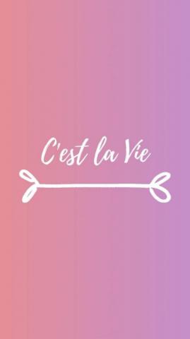 Index Of Wp Content Uploads