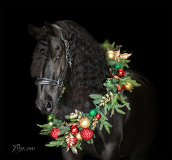 Festive Christmas Freisian Wreath