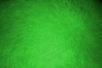 Neon Green Fur Texture High Resolution Photo Dimensions