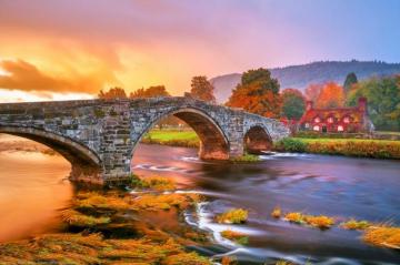 Wales Ivy Covered House In Autumn HD Wallpaper Background Image