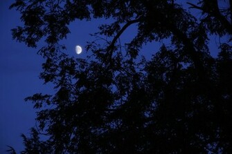 Qq Wallpaper Blue Moon Light