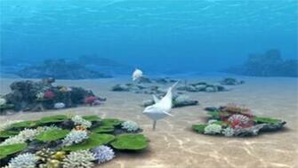 Dolphin 3d