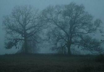 Background Pictures Image Cool