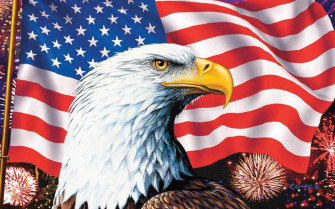 Us Eagle Wallpaper