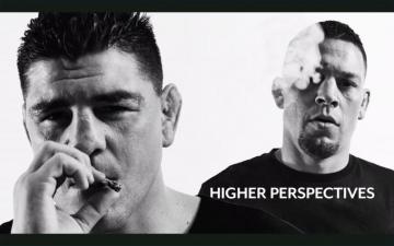 Cannabis In Mma Game Up Nutrition Wallpaper Teahub Io