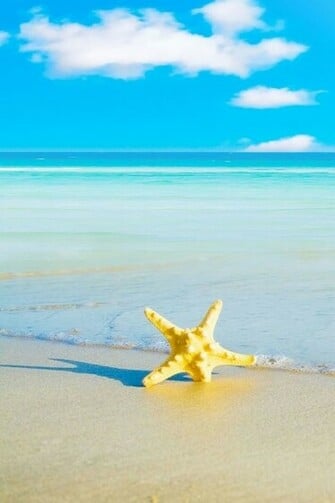 Maldives Summer Beach iPhone HD Wallpaper