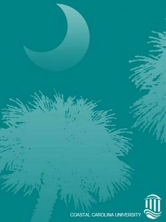 Coastal Wallpaper Carolina University