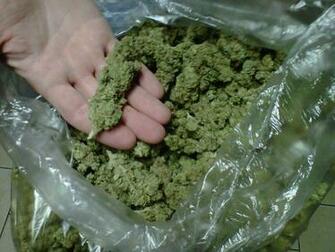 Tahoe Og For