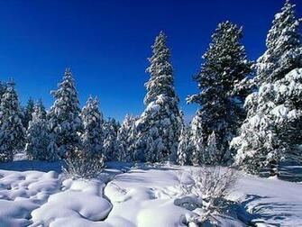 Winter Wonderland Desktop Wallpaper