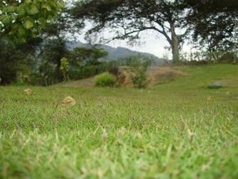 The World S Best Photos Of Paisaje And Pindal Hive Mind