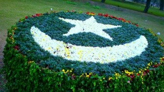Pakistani Flag Art With Grass And Flowers HD Wallpaper