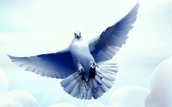 Dove Wallpaper