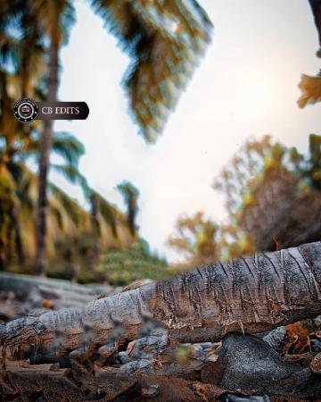 Sadab Mg Editor Blur Photo Background Dslr Image