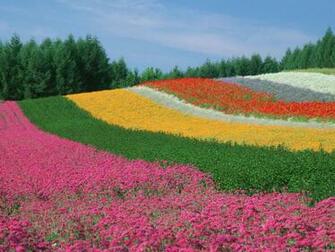 Desktop Widescreen Wallpaper World Most Beautiful
