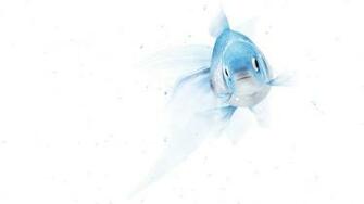 Mobile9 Gallery Wallpaper