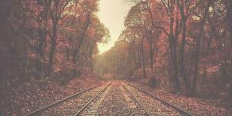 Autumn Header