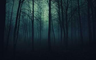 Wood Trees Gloomy Fog Haze Darkness Stock Photos Image