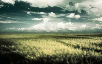 Field Background Background Create