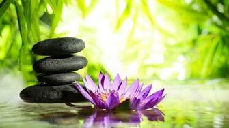 Mindfulness Bamboo Background