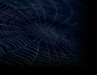 Spiderweb Background