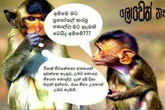 Funniest Emails Patti Gonaaaa Very Funny Sinhala Joke Rainpow