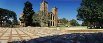 Ucla Wallpaper