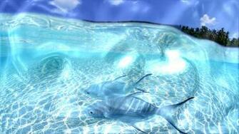 Video Wallpaper Live And Screensavers