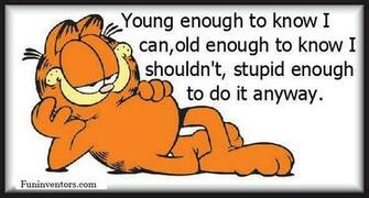 Funny Garfield Quotes
